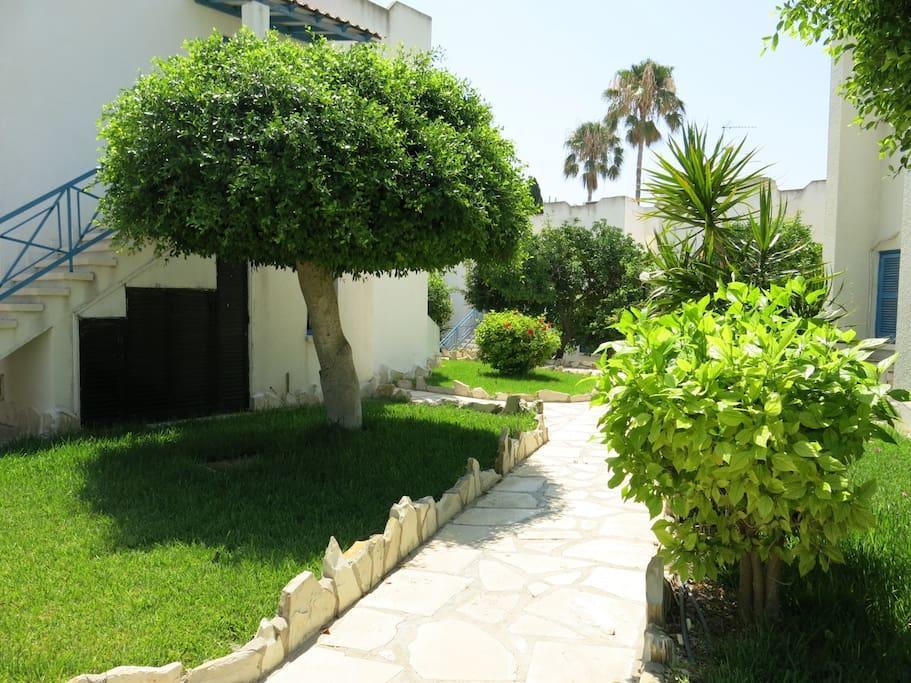 Dhekelia Diamond Apartment Larnaca Bagian luar foto